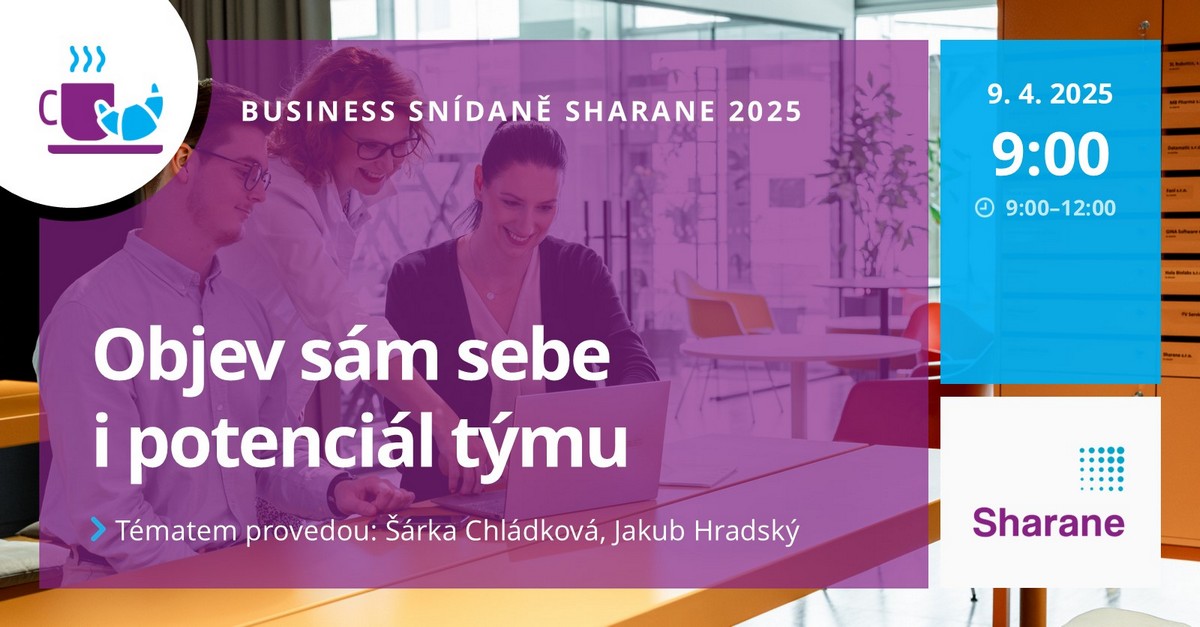 BS Objev Sam Sebe I Potencial Tymu